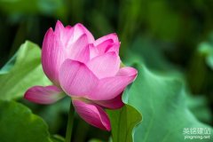 網(wǎng)站建設(shè)株洲